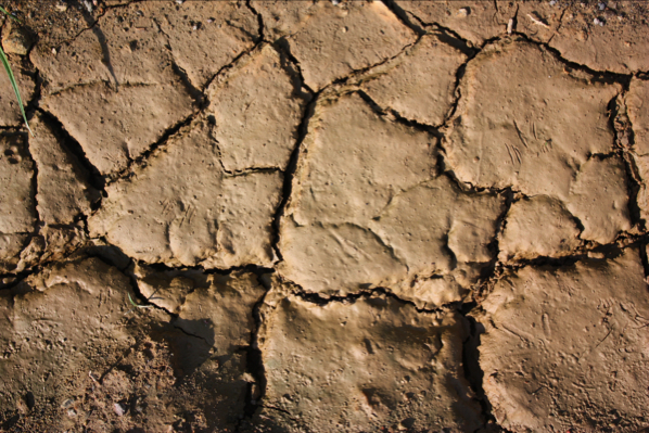 a0166378_129188.jpg