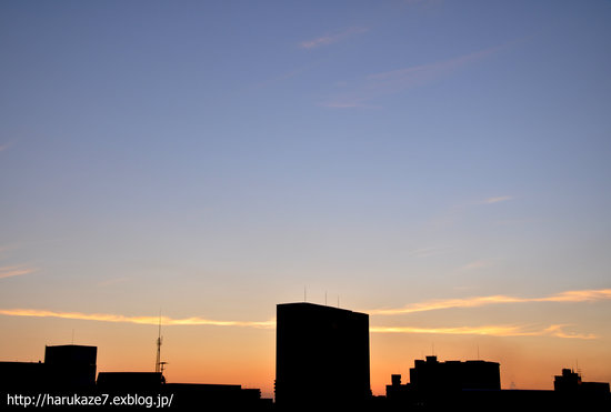 e0148083_1744134.jpg