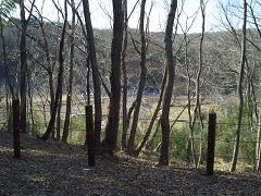e0023790_22221185.jpg