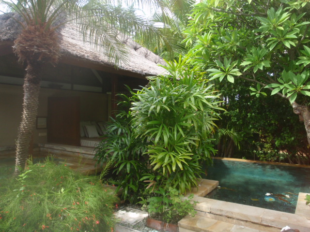 d0034291_842222.jpg