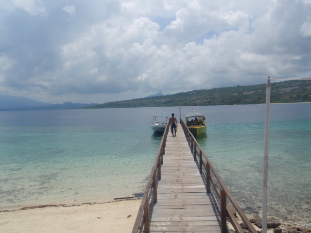 d0034291_855041.jpg