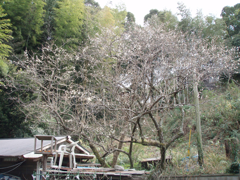 f0132391_9183331.jpg