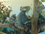 c0096693_2051847.jpg