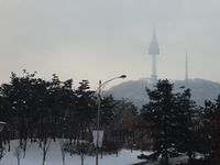 d0004195_1959994.jpg