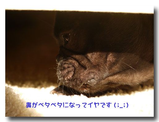 b0134197_15231071.jpg