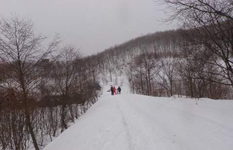 a0138198_1332076.jpg
