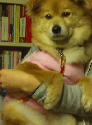 c0129702_23243045.gif