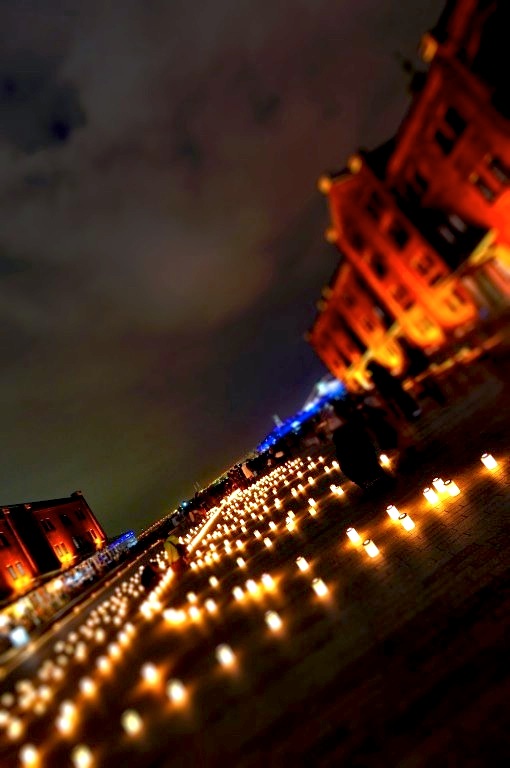 d0119505_737174.jpg
