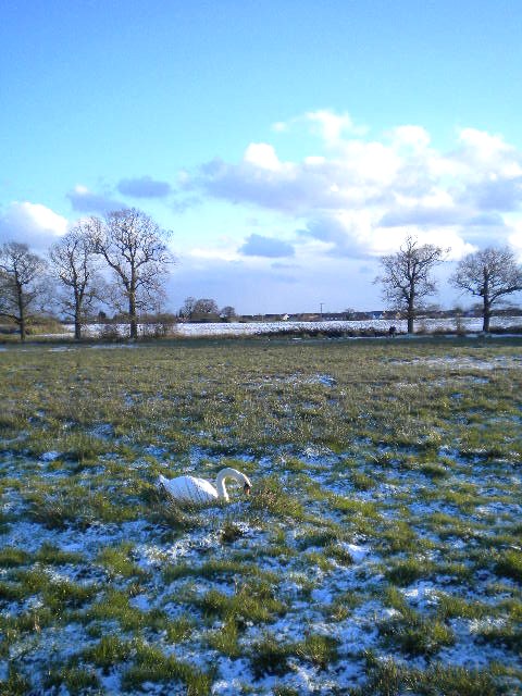 e0160905_2214277.jpg