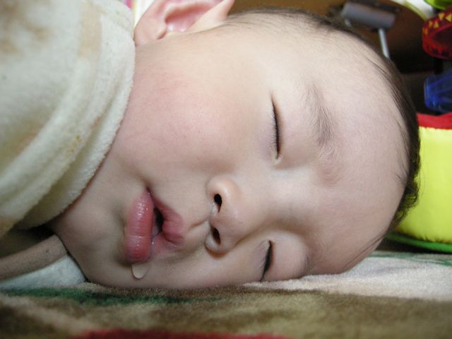 a0067613_1521048.jpg