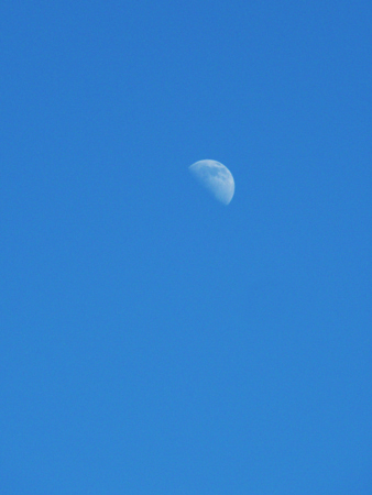 d0113613_17283019.jpg
