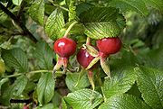 a0082317_2258684.jpg