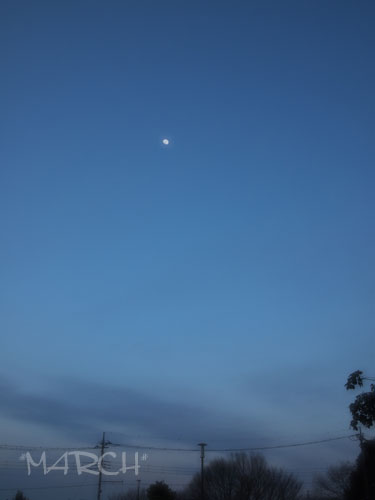 a0137120_23325912.jpg