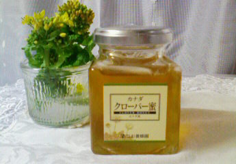 b0188121_2038615.jpg