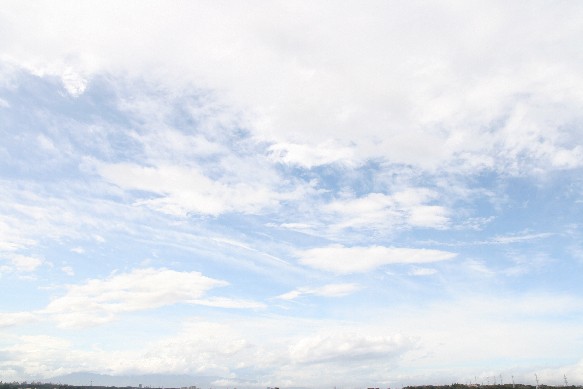 e0128322_3351212.jpg