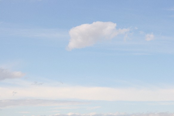 e0128322_3354980.jpg