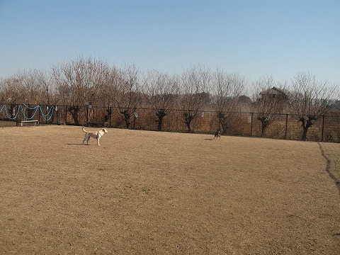 e0162524_12154985.jpg