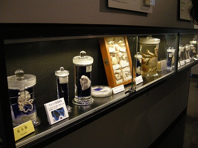 e0182728_1232302.jpg