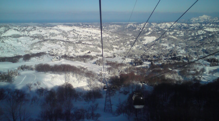 c0054838_1219269.jpg