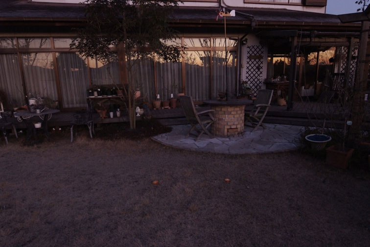 b0075541_205445.jpg