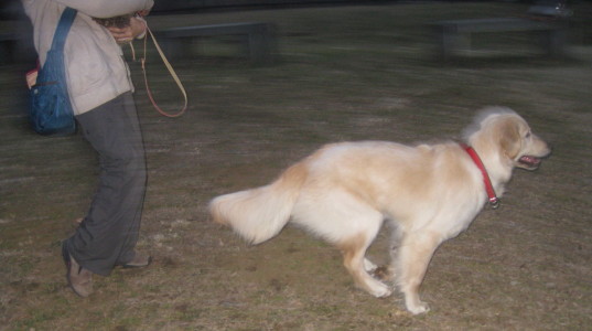 e0121548_2257977.jpg