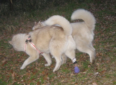 e0121548_2385632.jpg