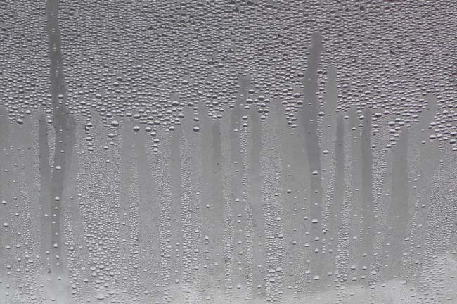 e0002850_22192195.jpg