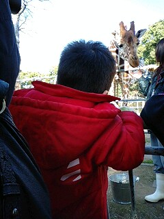 DAILY LIFE in Fukuoka City : <b>大牟田市動物園</b>