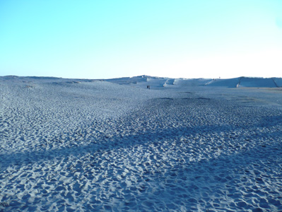 c0185657_1341523.jpg