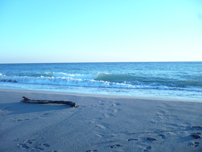 c0185657_1342877.jpg