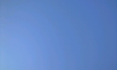 c0194767_3171162.jpg