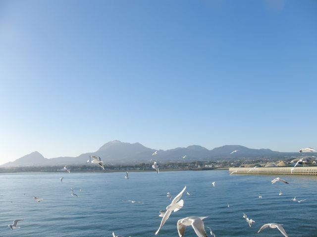 c0042869_21535089.jpg