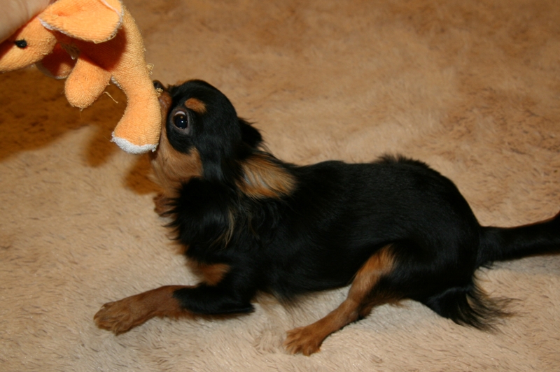 a0016775_2339225.jpg