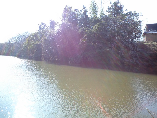 a0093677_22533188.jpg