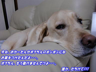 c0028792_22463195.jpg