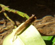 e0111793_11402629.jpg