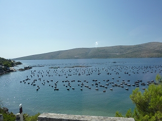 c0077697_2034773.jpg