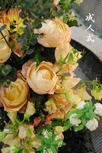 e0091804_112271.jpg