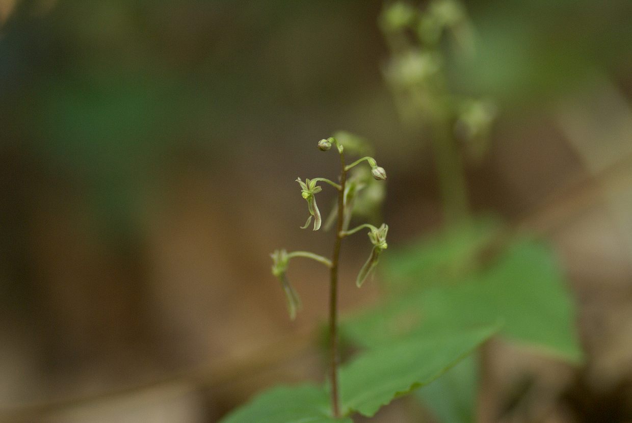 b0174905_637249.jpg