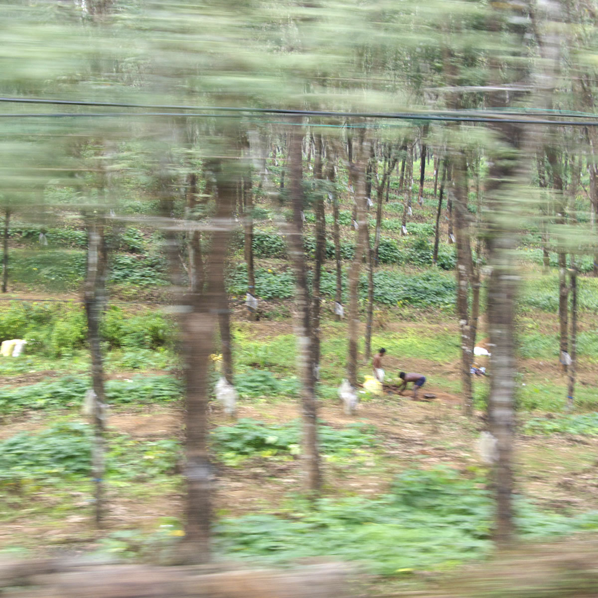 e0142611_2422166.jpg