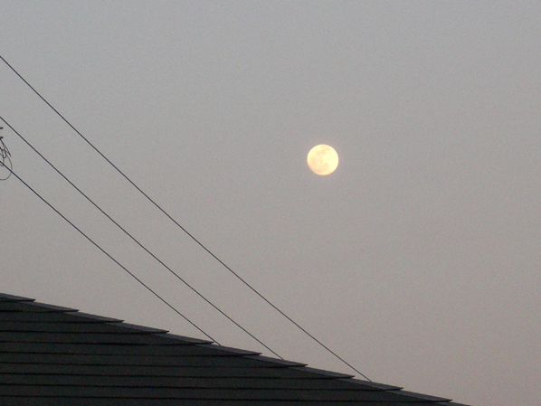 c0226214_2324717.jpg