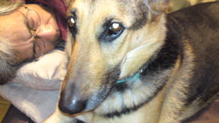 c0090220_14273452.jpg