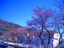 b0132522_10201887.jpg