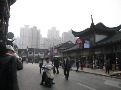 a0105023_11584045.jpg