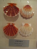 f0202231_20125838.jpg