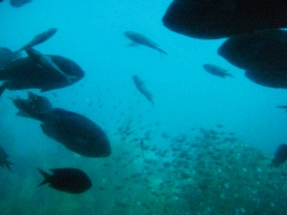 f0202231_20201643.jpg
