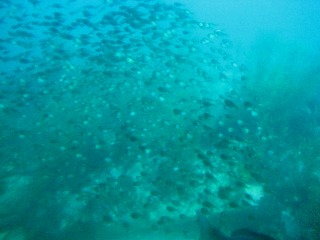 f0202231_20214633.jpg