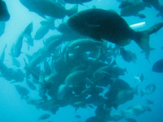 f0202231_20242919.jpg