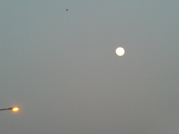 c0183137_201543100.jpg