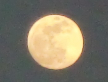 c0183137_2024690.jpg